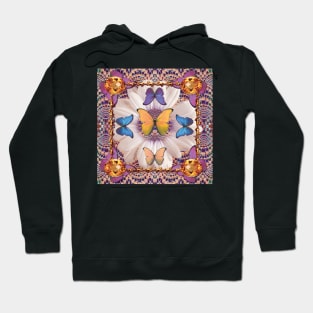 Lace Butterfly Hole Hoodie